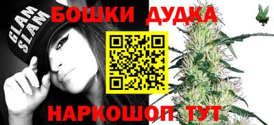 МДПВ Пенза
